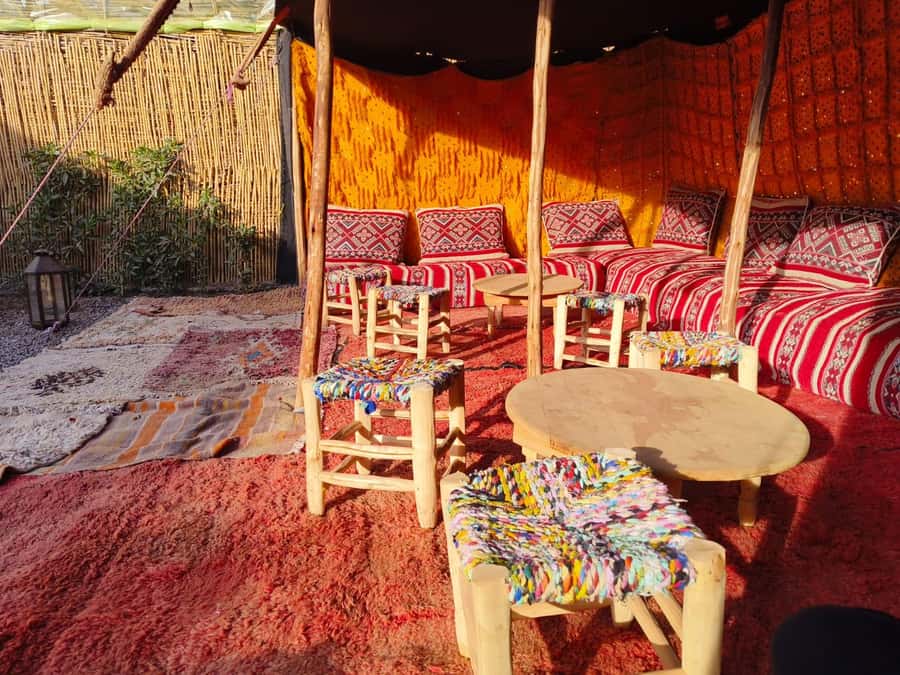 Marrakech: Quad Bike Tour to Palm Oasis and Jbilat Desert - The 2-Hour Desert Ride: Palm Groves, Off-Road Trails, and Real Timing