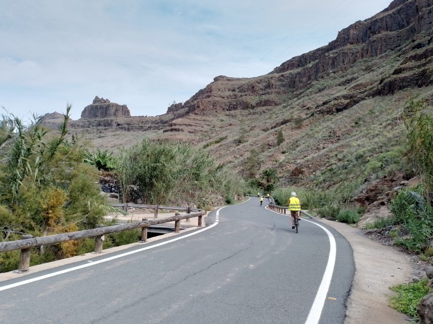 Maspalomas: Ayagaures E-Bike Mountain Tour Optional Tapas - Who This Tour Suits Best (and Who Should Skip It)