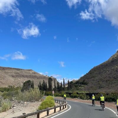 Maspalomas: Ayagaures E-Bike Mountain Tour Optional Tapas - The E-Bike Setup: Confidence, Traffic, and Group Pace