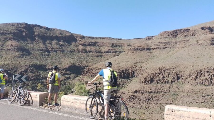 Maspalomas: Ayagaures E-Bike Mountain Tour Optional Tapas - Ayagaures Valley Views: Palm Trees, Cacti, and Wildflowers