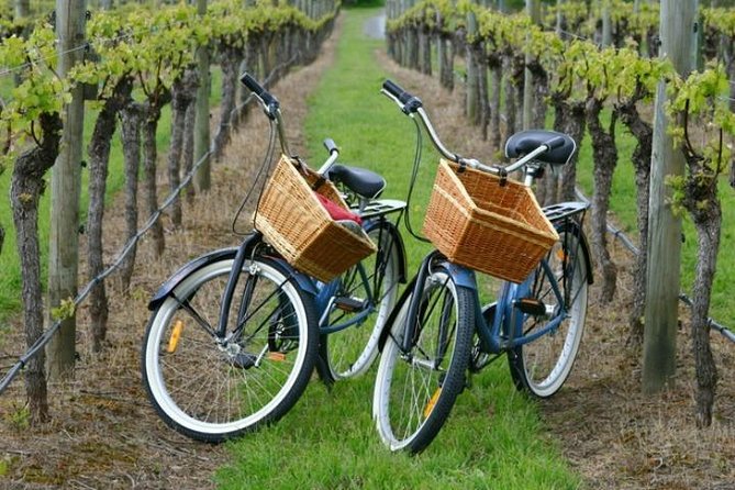Mattituck New York Guided Farm and Wine Country Bike Tour - Key highlights you can count on