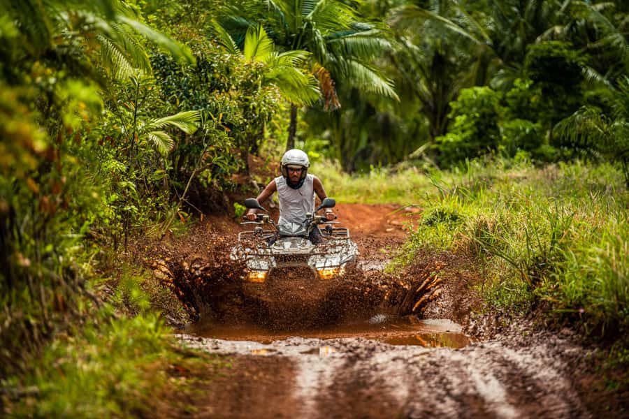 Mauritius: Bel Ombre Nature Reserve Quad Bike Tour - The 2-Hour Quad Route: Beginner-Friendly Speed With Real Off-Road