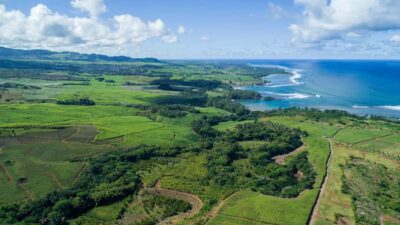 Mauritius: Bel Ombre Nature Reserve Quad Bike Tour - Meeting Point on Royal Road: How to Start Without Stress