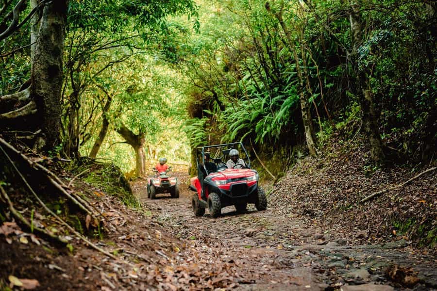 Mauritius: Bel Ombre Nature Reserve Quad Bike Tour - Who This Quad Tour Fits Best