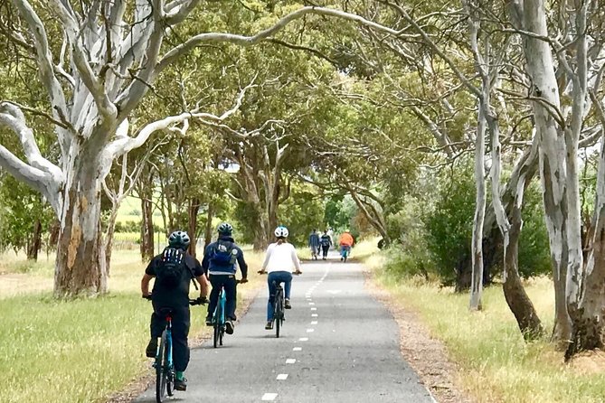 McLaren Vale Shiraz Trail Cycling Tour from Adelaide - Food and tastings: what you get and how to budget