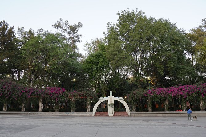 Mexico City: 19 City Highlights Bicycle Tour - Roma Norte Ending: Old Parks, Big City Character, and Where to Go Next