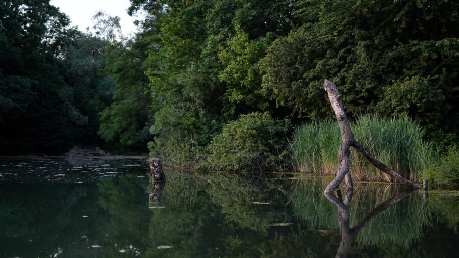 Milan: Bike Tour with Picnic on the turtle lake - The good fit: who this tour is best for