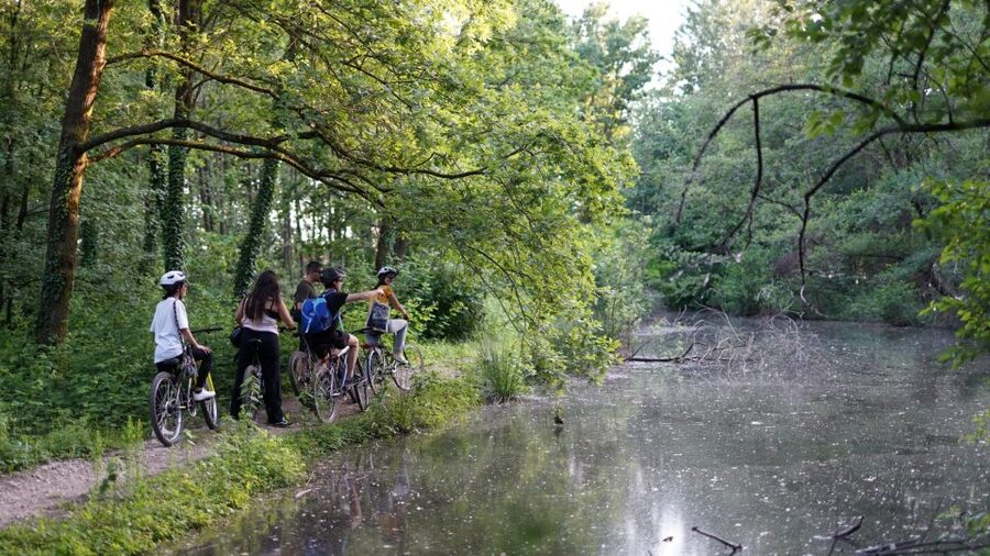 Milan: Bike Tour with Picnic on the turtle lake - Why this bike-and-picnic tour makes Milan feel different fast