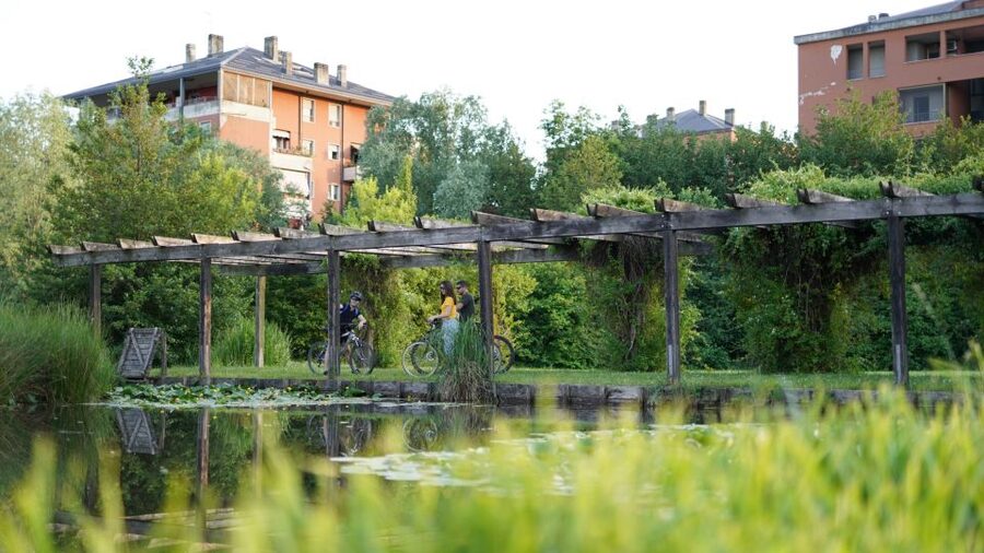 Milan: Bike Tour with Picnic on the turtle lake - Parco delle Cave: the rural-feeling stretch that turns the ride into a photo story