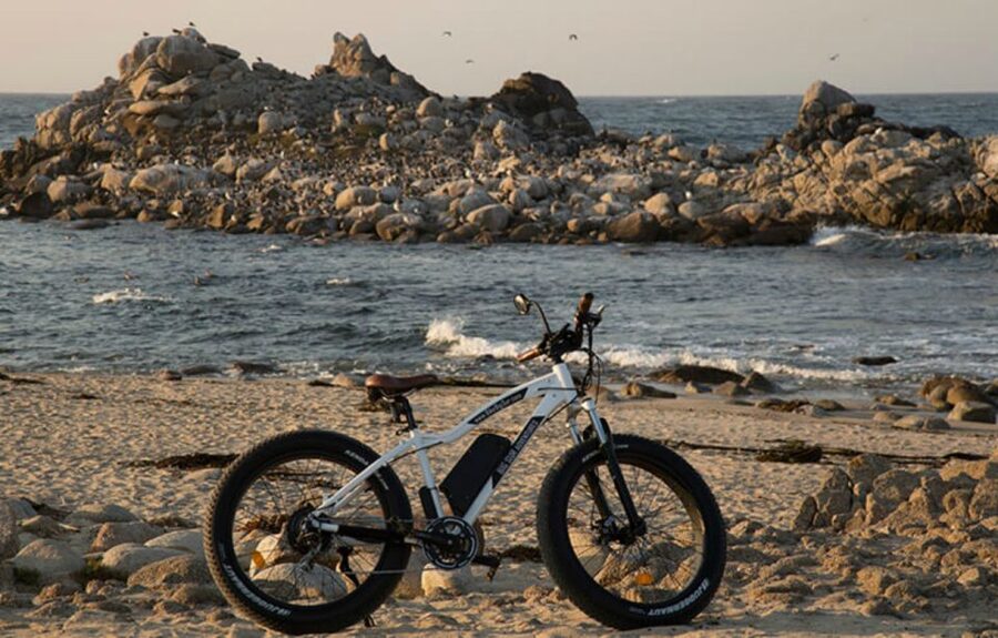 Monterey: 17-Mile Drive Guided E-Bike Tour - Del Monte Forest and the “How Does This Exist?” Mansions Moment