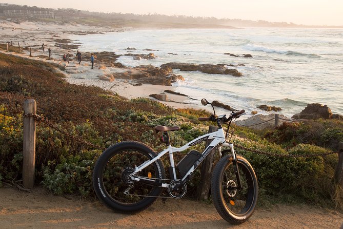 Monterey's 17 Mile Drive Guided Electric Bike Tour, 3 hr - Bird Rock Vista Point: Wildlife, Restrooms, and a Real Break