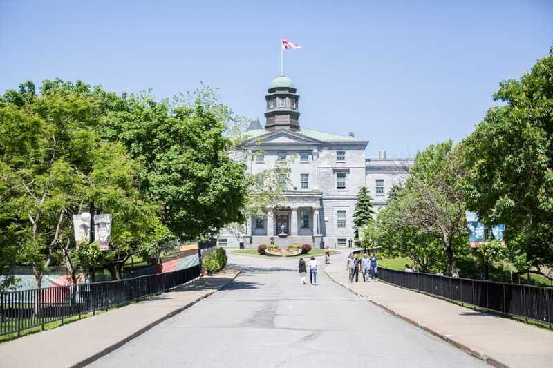 Montreal: Guided Bike Tour of City, Old Port & Plateau - Price and Value: What $68 Actually Buys You