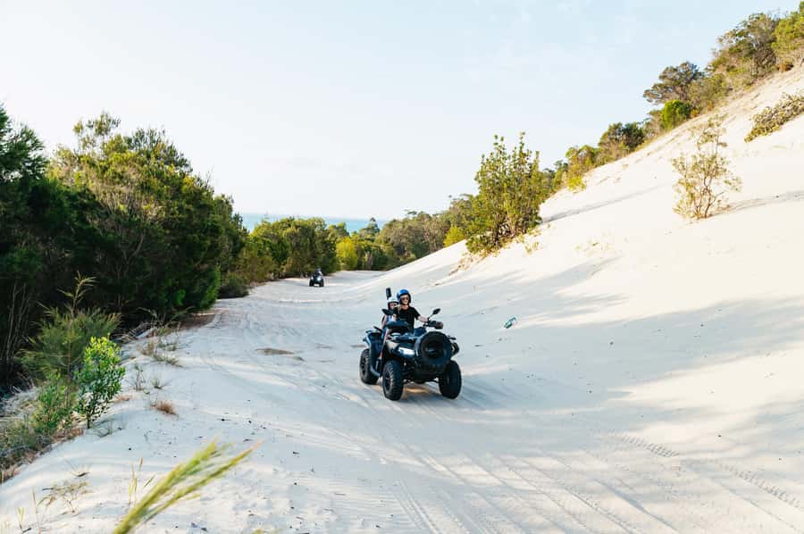 Moreton Island: Tangalooma Day Trip with ATV Quad Bike Tour - Who This Trip Suits Best (And Who Might Want a Different Day)