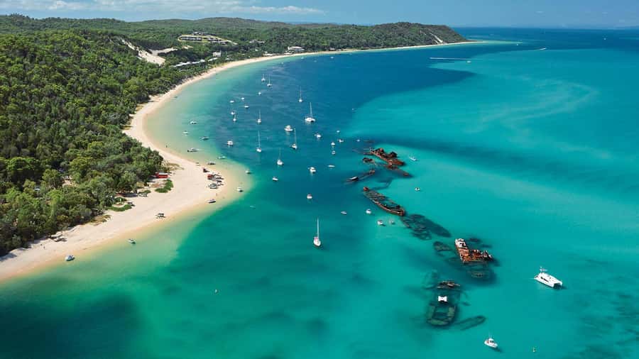 Moreton Island: Tangalooma Day Trip with ATV Quad Bike Tour - Value Check: Does $119 Add Up Here?