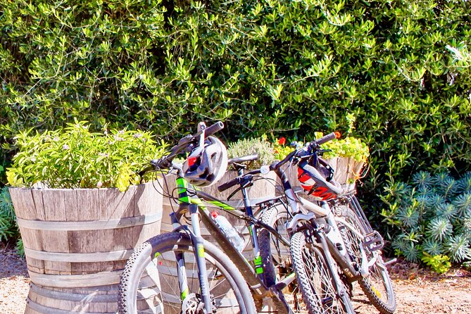 Mornington Peninsula Self-Guided Bike Tour | Food & Wine Region - Arthurs Seat State Park views: Melbourne skyline worth the morning