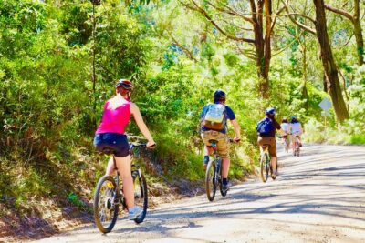 Mornington Peninsula Self-Guided Bike Tour | Food & Wine Region - Seawinds Gardens: a wildlife pause before wine country starts