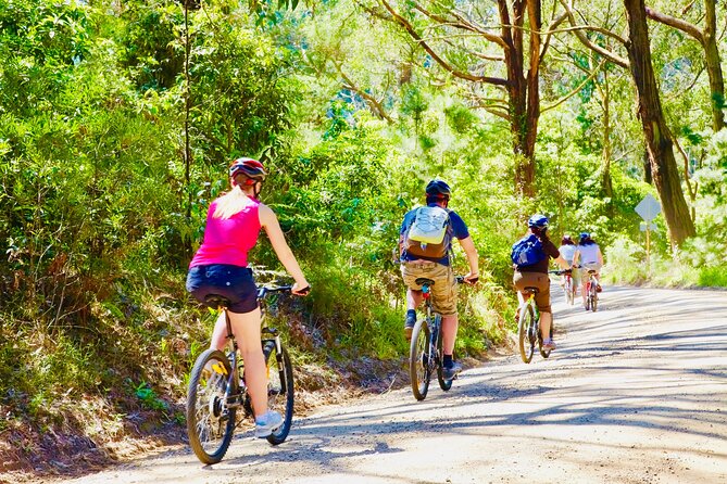 Mornington Peninsula Self-Guided Bike Tour | Food & Wine Region - Seawinds Gardens: a wildlife pause before wine country starts