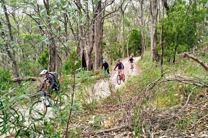 Mount Lofty Descent Bike Tour from Adelaide - The downhill bike ride: how gentle is it really