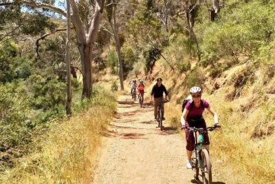 Mount Lofty Descent Bike Tour from Adelaide - Mount Lofty Summit stop: views that set the mood
