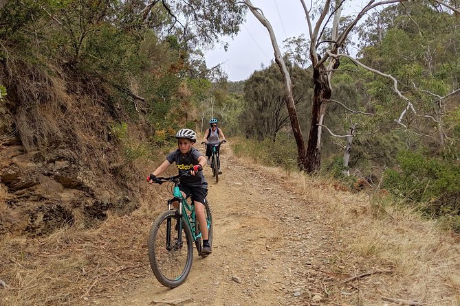 Mount Lofty Descent Bike Tour from Adelaide - Clearing the wildlife checklist at Cleland Wildlife Park