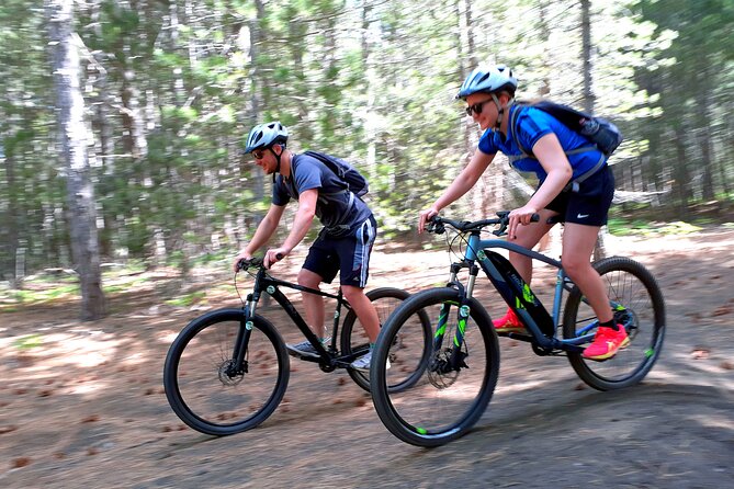 Mountain Biking Etna by MTB or E-Bike - Why Etna by Bike Is a Different Kind of Sicily Day