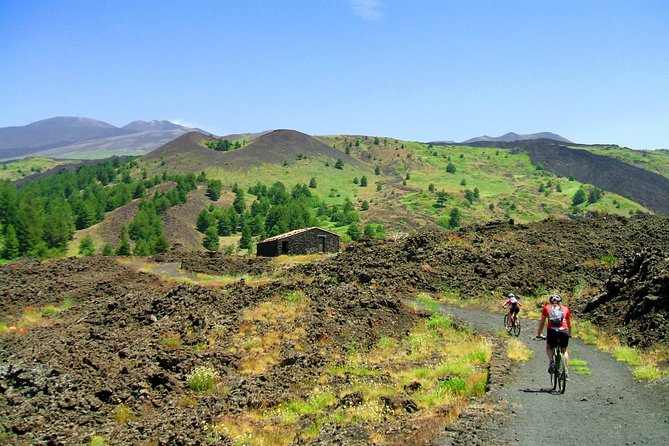 Mountain Biking Etna by MTB or E-Bike - Price and Value: Why $63.06 Can Make Sense