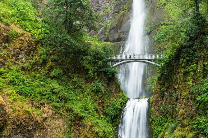 Multnomah Falls E-Bike Waterfall Tour (2+ Hours) - Key highlights you’ll actually care about