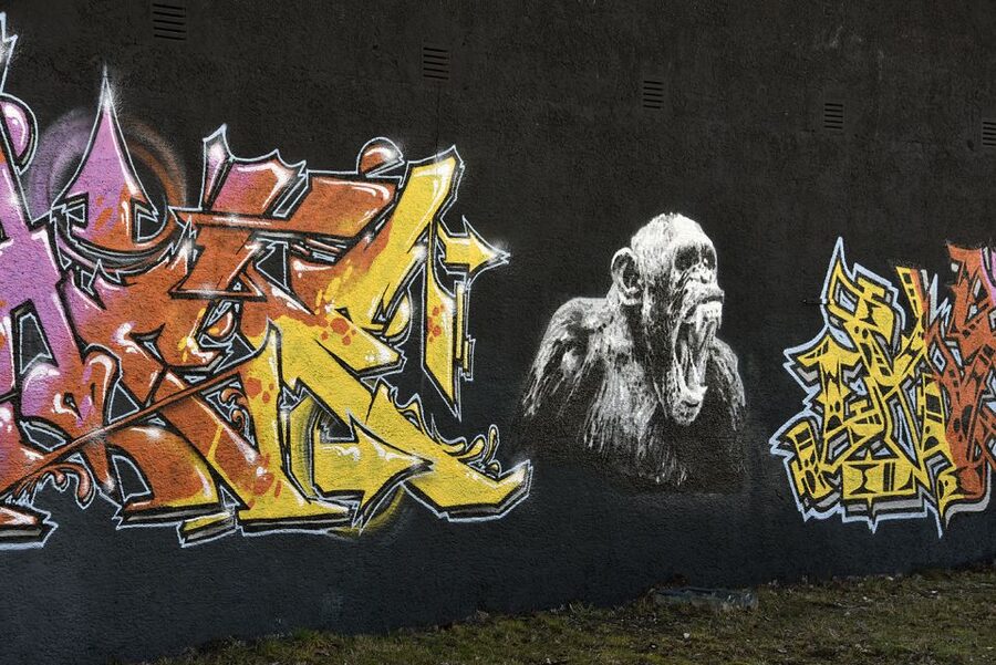 Munich: Street Art Bike Tour - Isar river murals: where the city shows its street side