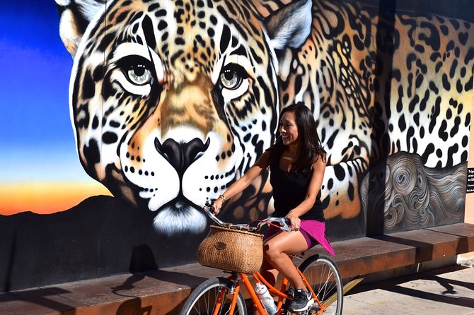 Mural Bike Tour - Price and what you’re really paying for
