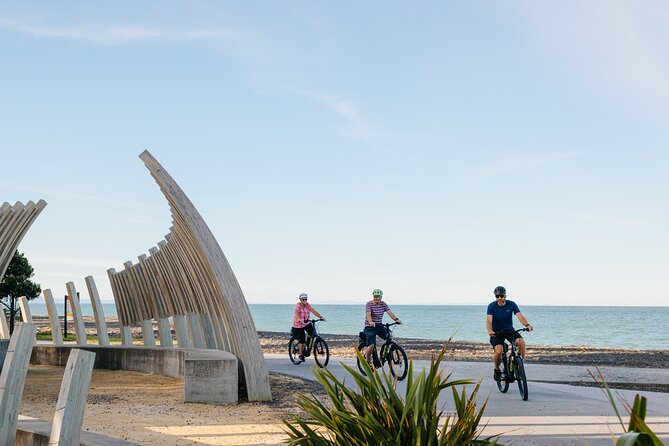 Napier E-bike Hire - Weather and real-world riding comfort