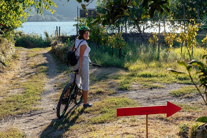 Naples Scenic E-Bike Ride to a Local Vineyard with Meal - Value for $95.58: where the money goes in this tour
