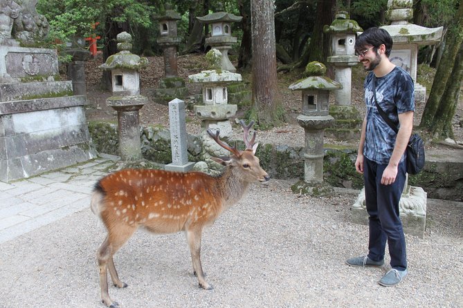 Nara - Highlights Bike Tour - Nara Highlights by Bike: Why 3 to 4 Hours Feels Just Right