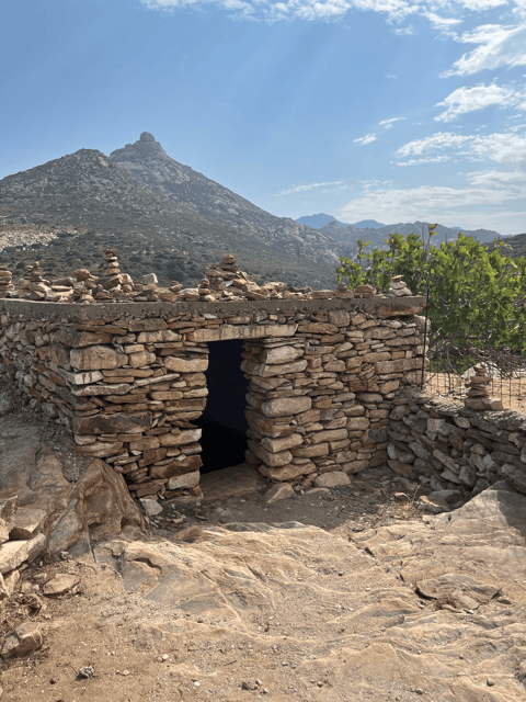 Naxos: Private E-Bike Tour with Farm Lunch - Should You Book the Naxos Private E-Bike Tour with Farm Lunch?