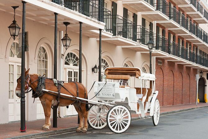 New Orleans French Quarter and Garden District Bike Tour - Key highlights worth planning around