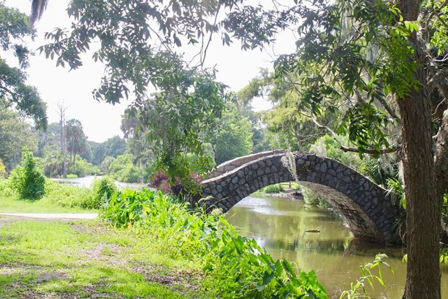 New Orleans: Scenic City Bike Tour - Price and value: why $55 can feel like a bargain here
