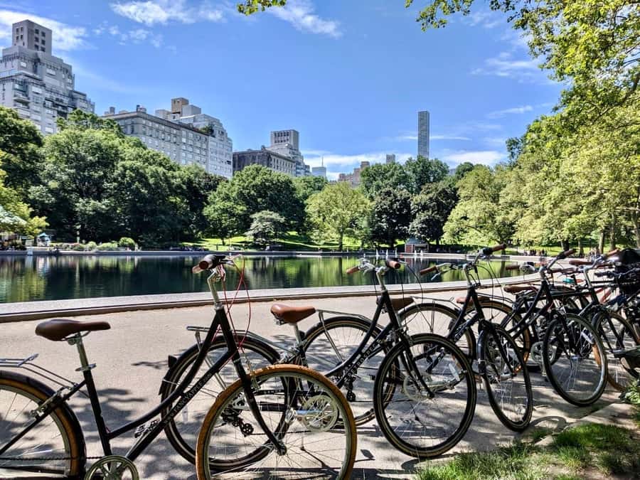 New York City: Best of Central Park Bike Tour - Bethesda Fountain and Terrace: Where the Park Looks Like a Movie Set