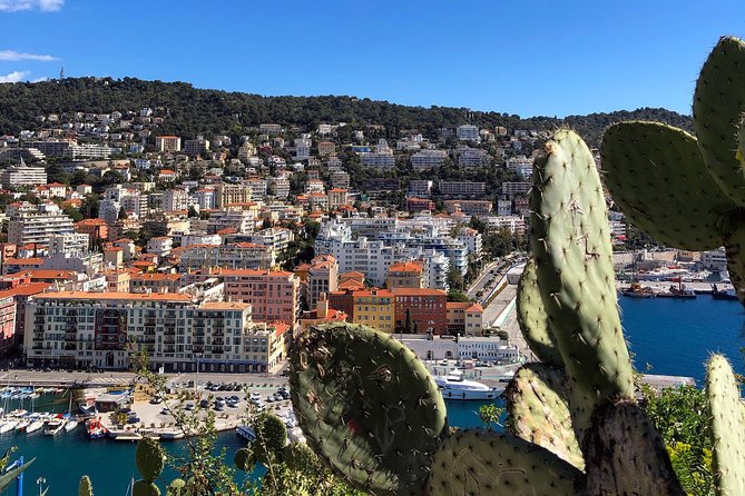 Nice City Best Highlights E-bike Tour - Port Lympia, Garibaldi Square, and Place Masséna: Nice Without the Rush