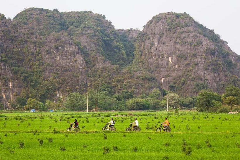 Ninh Binh E-Bike Tour - Tam Coc Secret Landscapes - Stopping at Đền Vối Temple: picking Vối tea, then drinking it