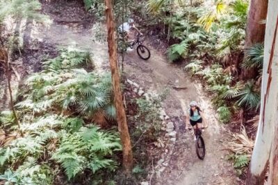 Noosa eMtn Bike Tour: Exploring a National Park on Fun MTB Trails - How the Morning Works (And Why the E-Bikes Matter)
