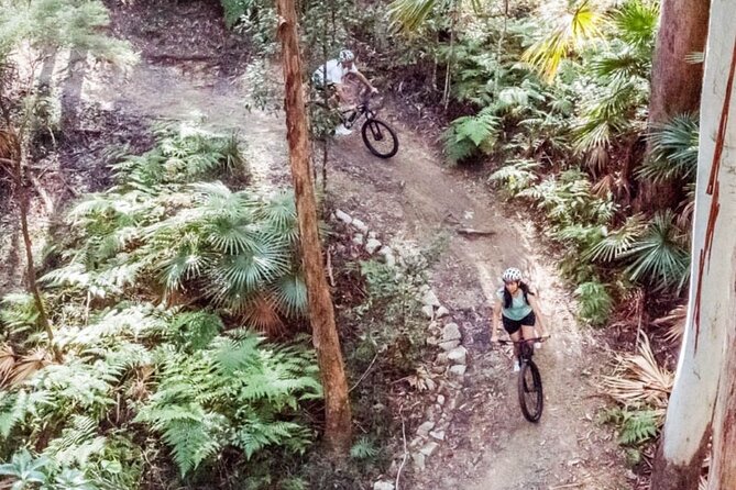 Noosa eMtn Bike Tour: Exploring a National Park on Fun MTB Trails - How the Morning Works (And Why the E-Bikes Matter)