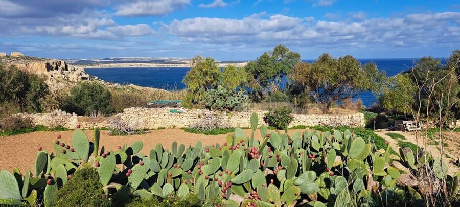 North Malta: Quad Bike Tour with Scenic Land, Sea & Swimming - Triq tal-Prajjet and the Popeye Village set: photos with context