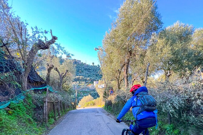 Oil and Lemon - Sorrento e-Bike Tour Experience - Meeting at Piazza Andrea Veniero: Quick, Simple Start