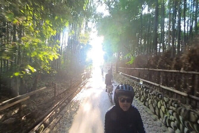 ONLY YOU in the Bamboo Forest! 4 hours E-bike tour with a local - Hirosawa Pond: when you want the calm, mirror-moment