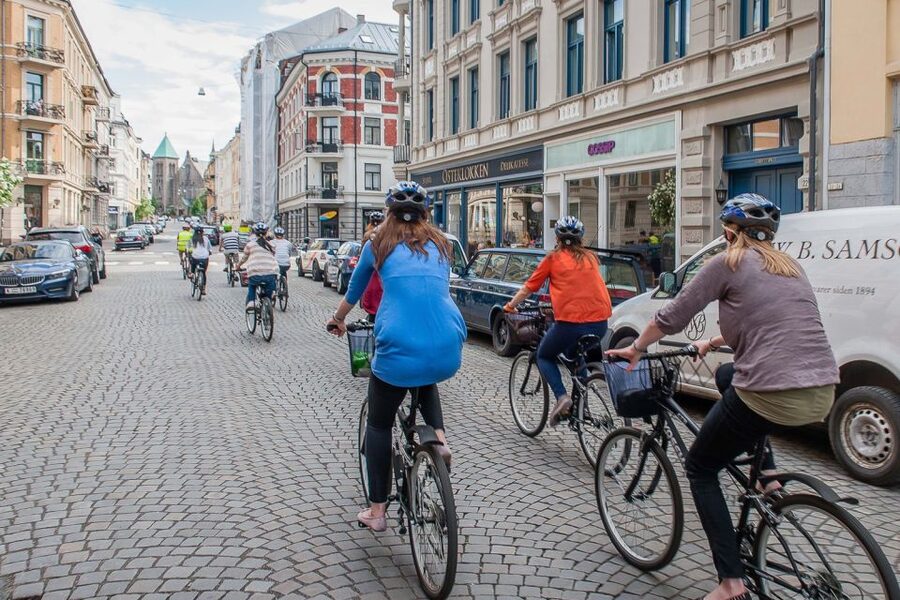 Oslo: 3-Hour Highlights Bike Tour - Winter Oslo (Nov 1 to Feb 28): spiked tires and what changes