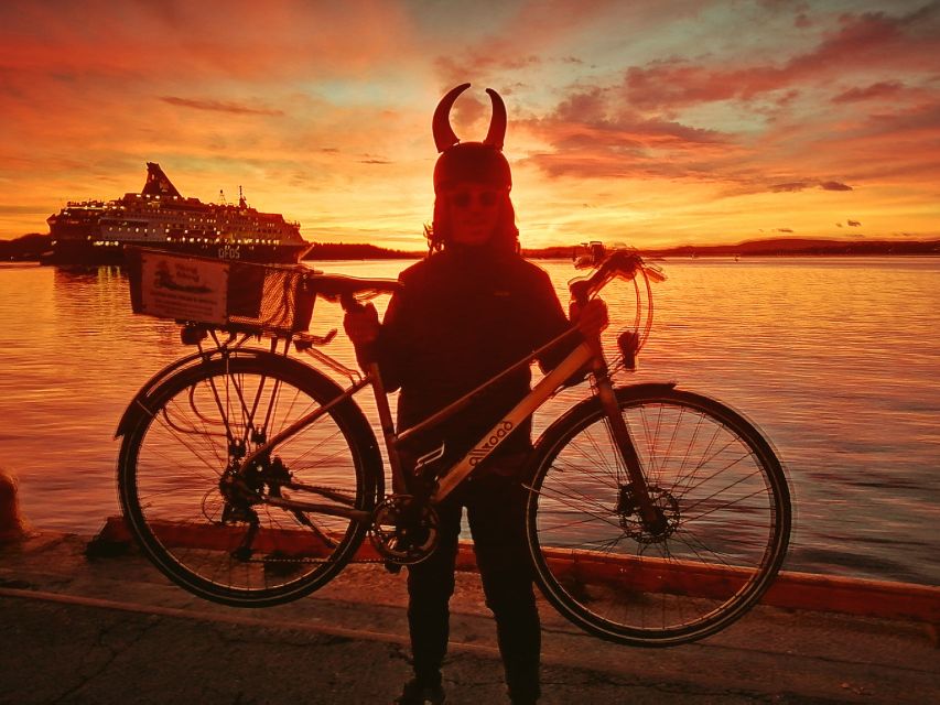 Oslo: Winter Highlights 3-Hour Bike Tour - Pace, Hills, and the Winter Gear Checklist