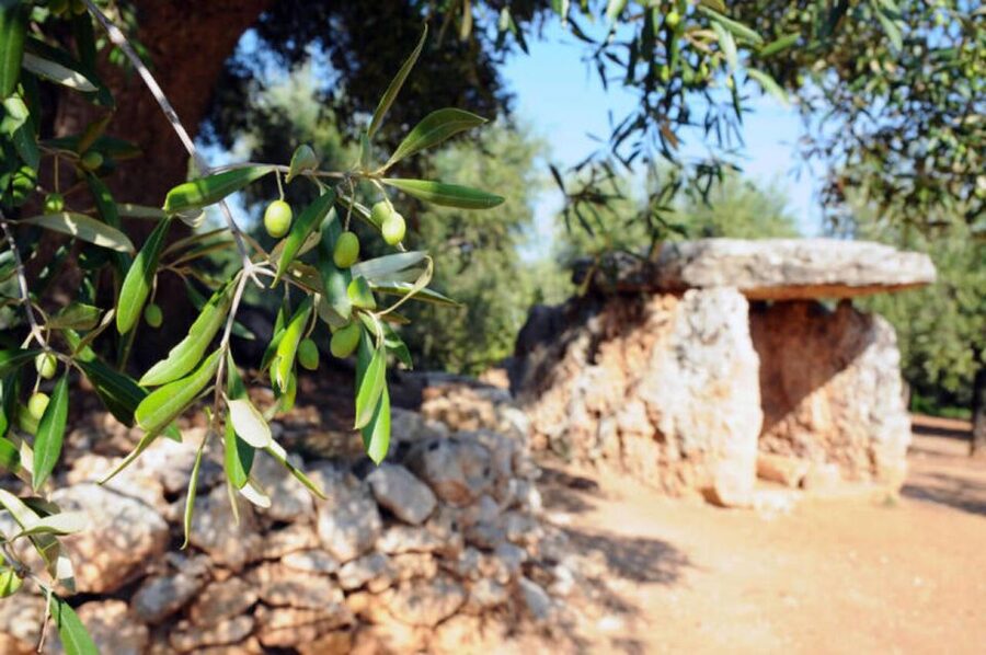 Ostuni: E-bike Tour, Ancient Olive Trees & Oil Tasting - Why This Ostuni E-Bike Tour Feels Grounded (Not Just Scenic)