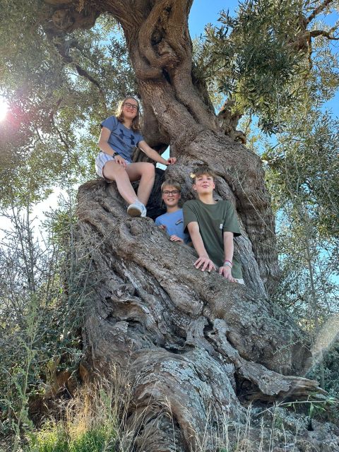 Ostuni: E-bike Tour, Ancient Olive Trees & Oil Tasting - Coastal Dunes Regional Park: Ancient Olive Groves, Dry-Stone Walls, and Photo Stops