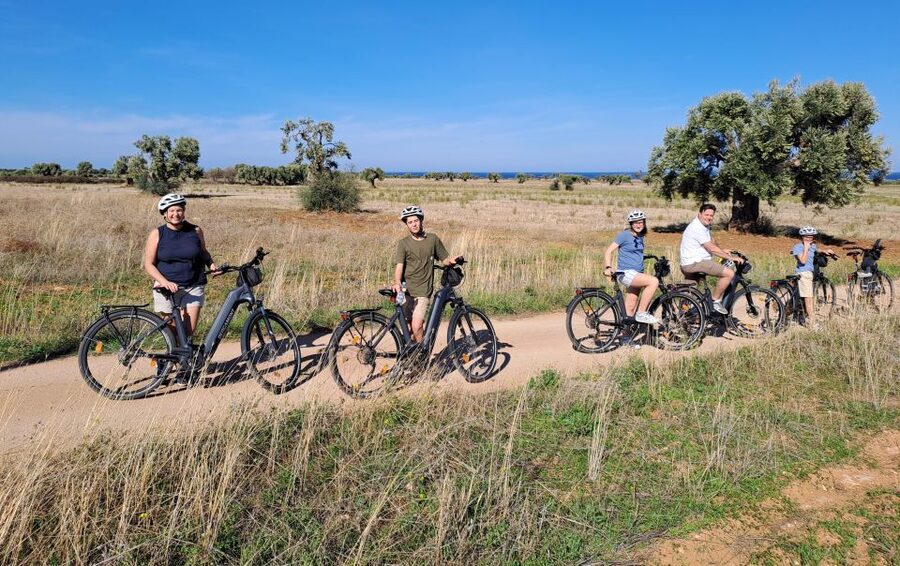 Ostuni: E-bike Tour, Ancient Olive Trees & Oil Tasting - The Olive Oil Tasting: How to Smell and Recognize EVO