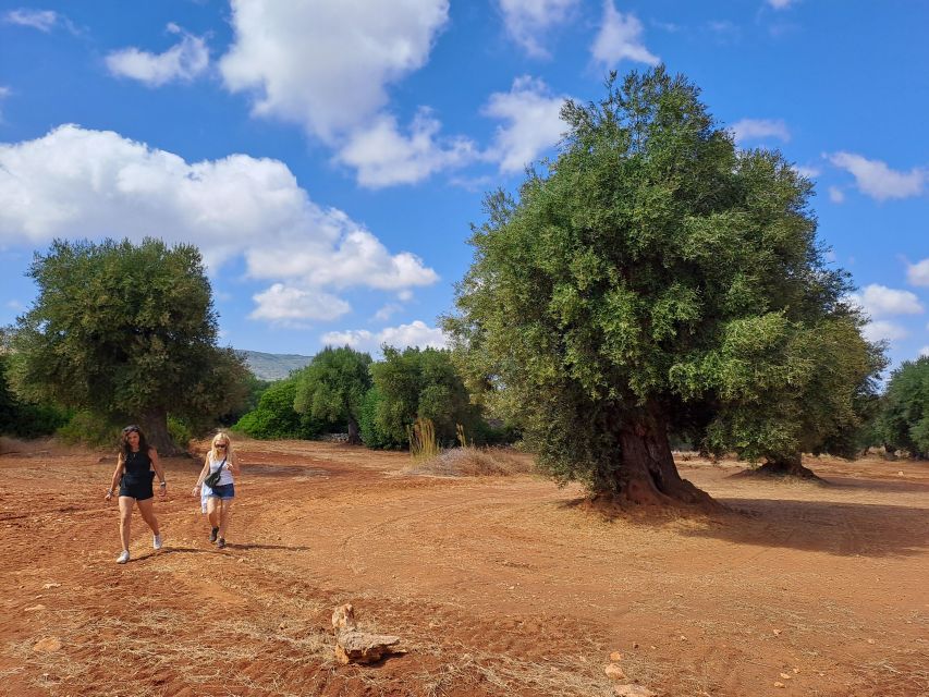 Ostuni: Guided e-bike tour + countryside tasting stop - Why This Ostuni E-Bike Tour Works Better Than a Bus Ride