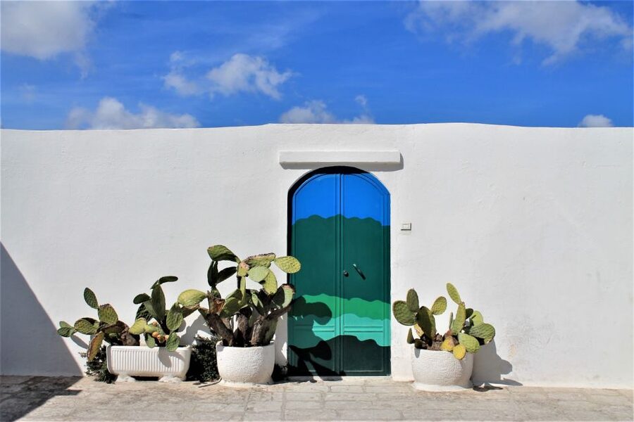 Ostuni: Guided e-bike tour + countryside tasting stop - The Olive Oil Lesson: Tree Care to Pressing, Then a Real Farm Stop